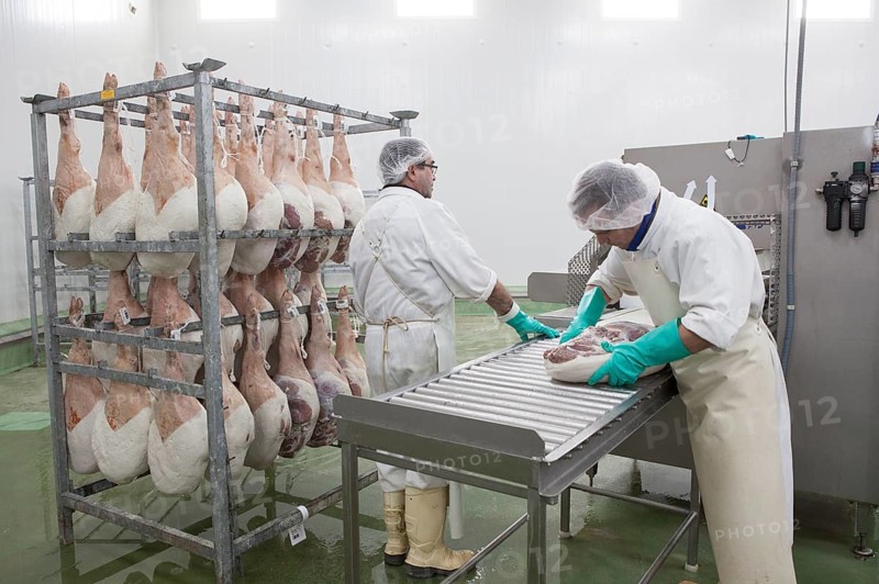 Quality control workers for cured ham