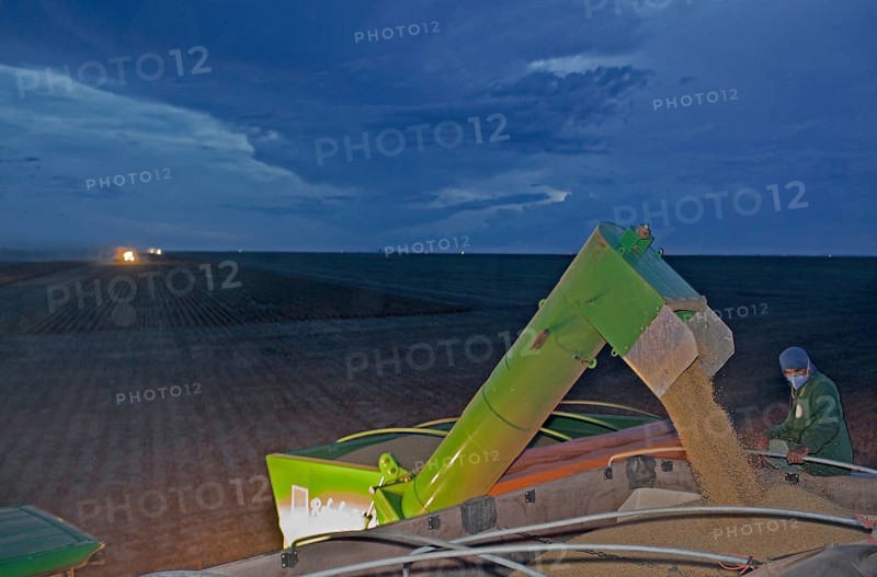 Late Afternoon Mechanized Soybean Harvest near Luis Eduardo Magalhaes