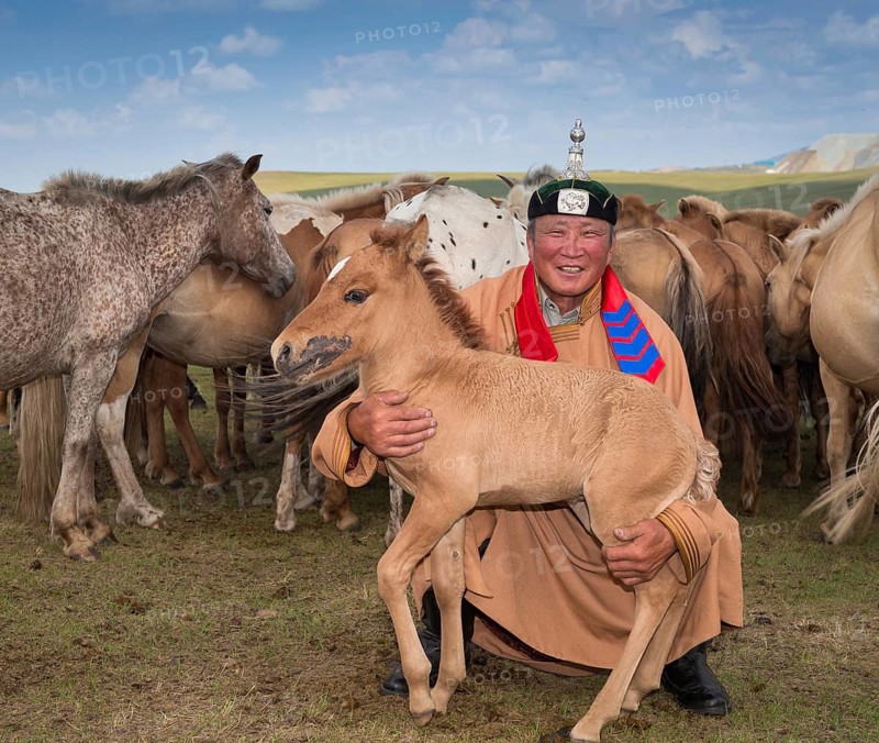 Shepherd with foal in front of his flock