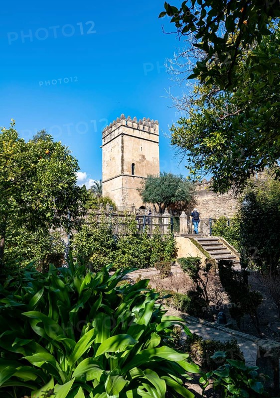 Tower and Garden of the Alcazar