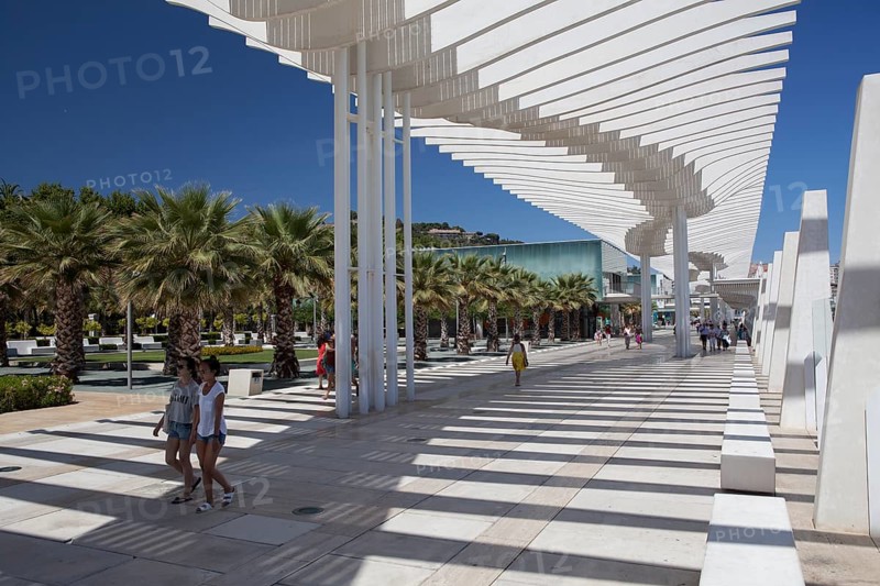 Tourists on the Palmeral de las sorpresas