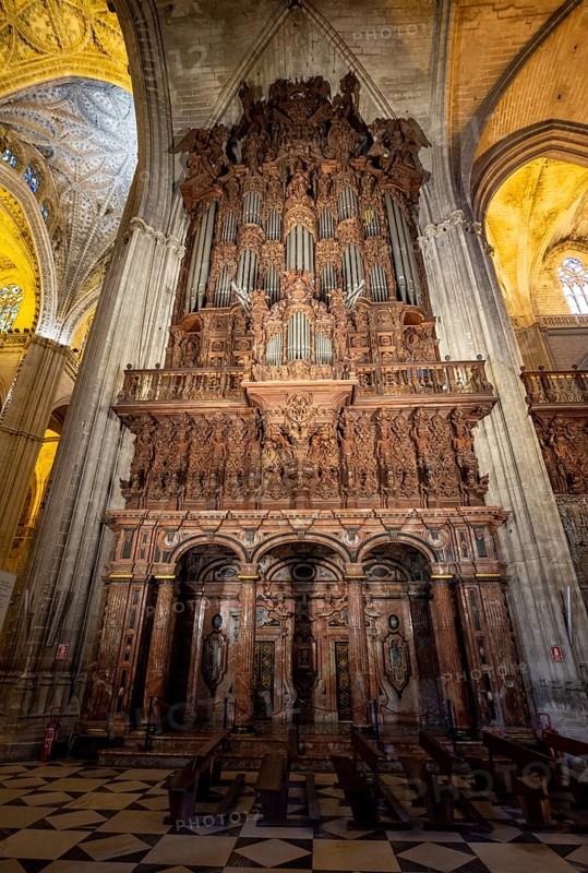 Organ