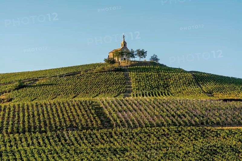 Chapel of the Madonna on the Beaujolais vineyard