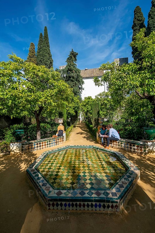 Garden with fountain