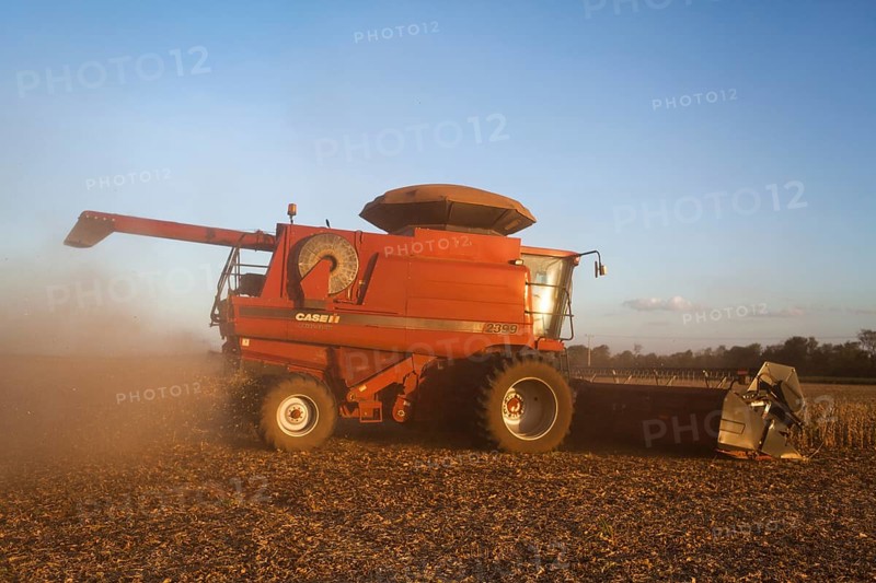 Mechanized Soybean Harvest near Luis Eduardo Magalhaes