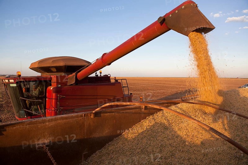 A Combine Unloads Soya Beans into Truck near Luis Eduardo Magalhaes