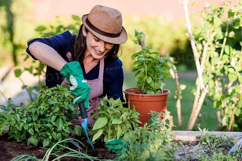 Woman doing gardening on a raised bed