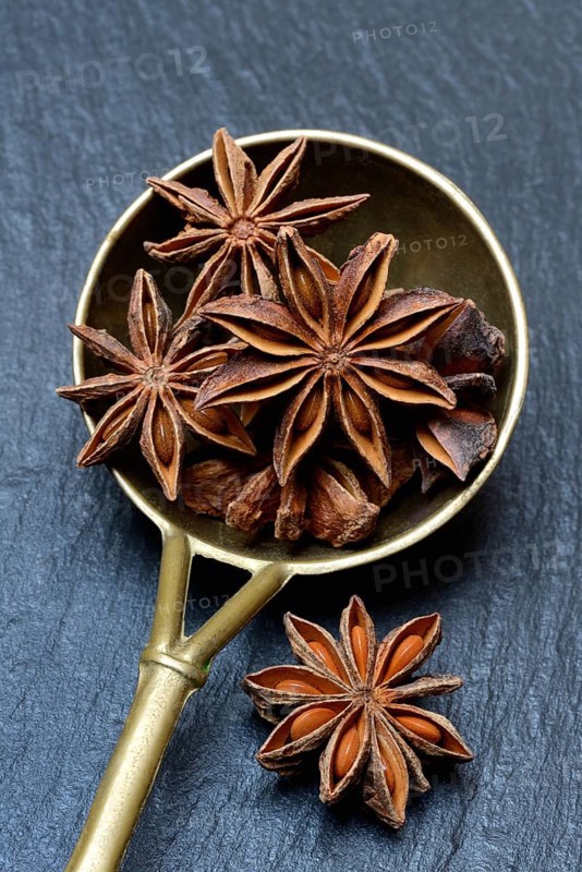 01_ (Illicium verum)