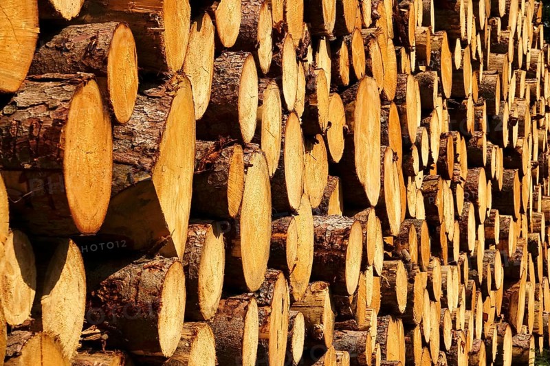 Stack of sawn logs