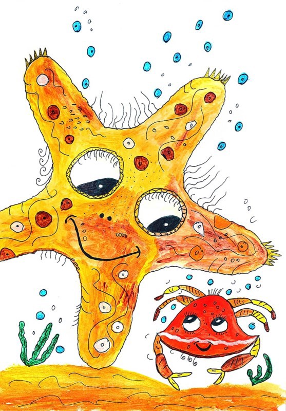 Starfish and crab