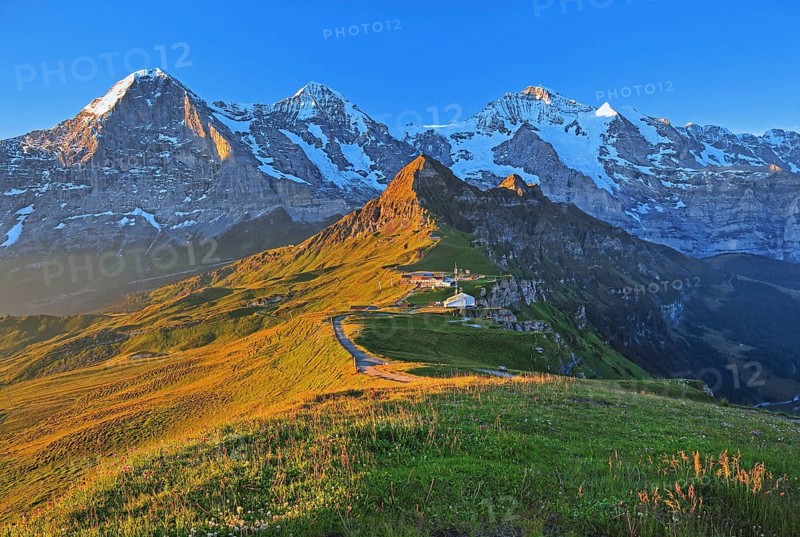 Mountain meadow on the Maennlichen with the triumvirate of the Eiger