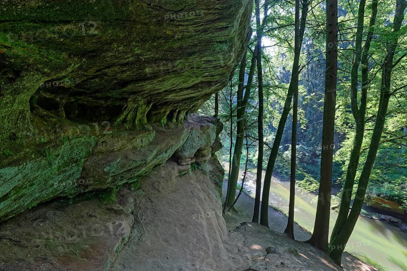 Rock face and deciduous trees on the Schwarzach