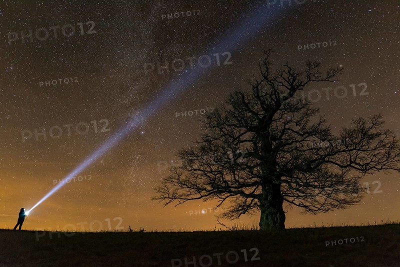 Man with flashlight at Oak (Quercus) on the Roethelberg with starry sky at night