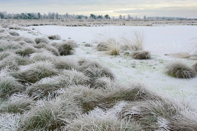 Snow in winter moor