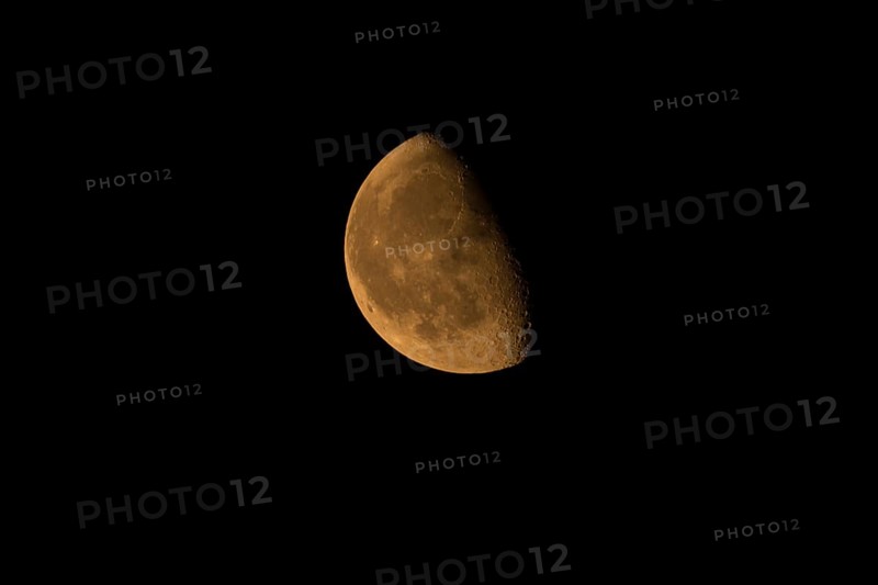 Reddish colored waning moon in the evening