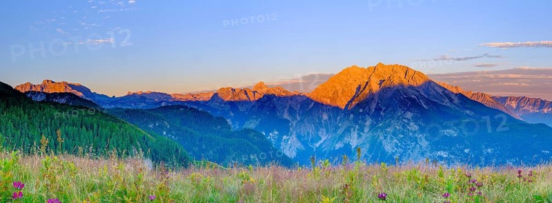 Panoramic view