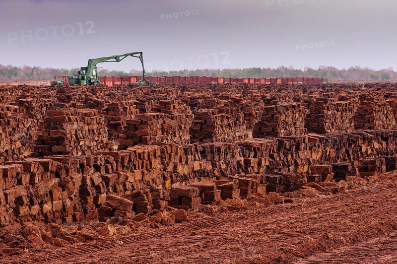 Piled up peat sods in the bog