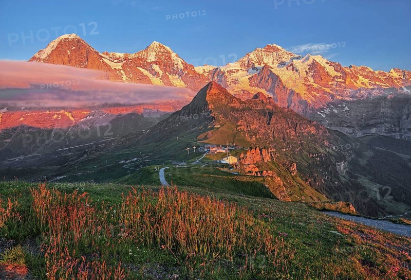 Mountain meadow on the Maennlichen with the triumvirate of the Eiger