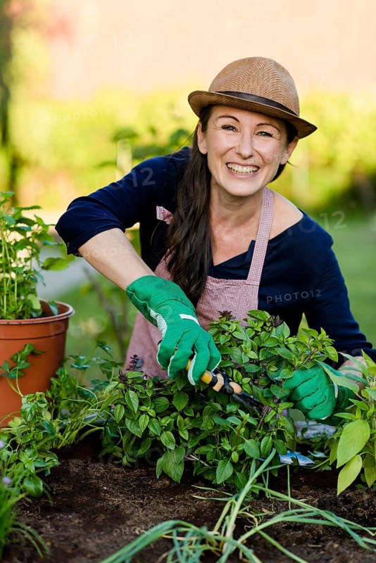 Woman doing gardening on a raised bed