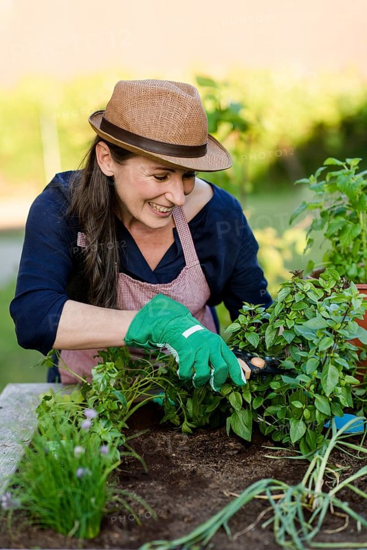 Woman doing gardening on a raised bed