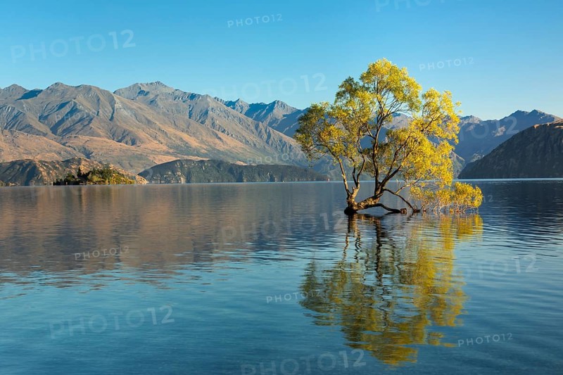 Lake Wanaka at sunrise