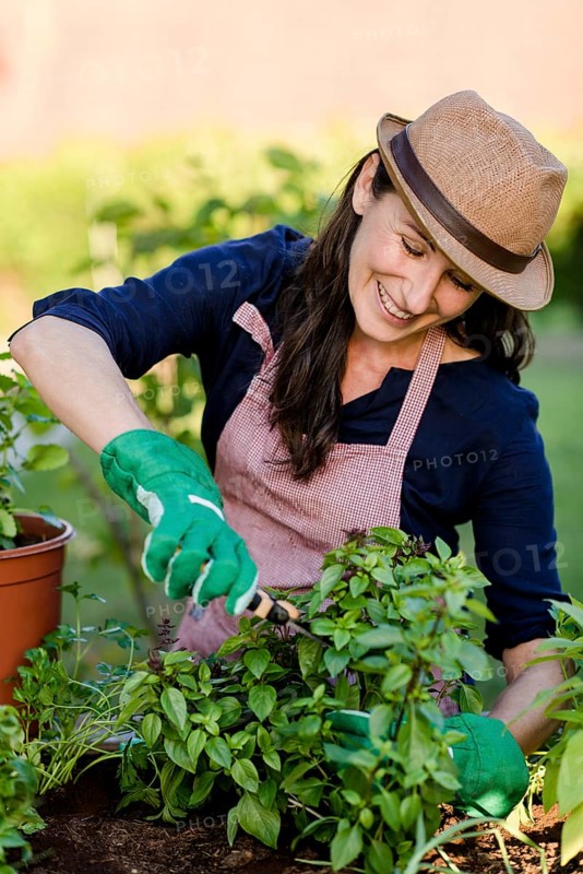 Woman doing gardening on a raised bed