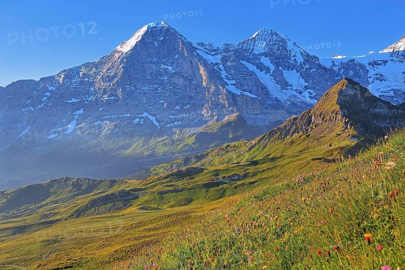Mountain meadow on the Maennlichen with Eiger and Moench at sunrise