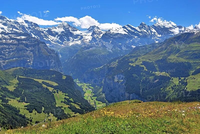 Mountain meadow on the Maennlichen with Lauterbrunnen valley and Breithorn