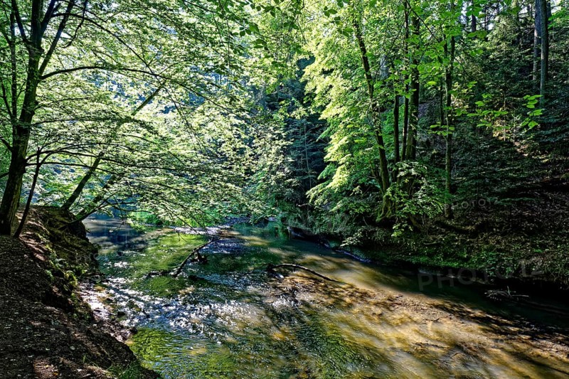 Schwarzach lined by tall deciduous trees