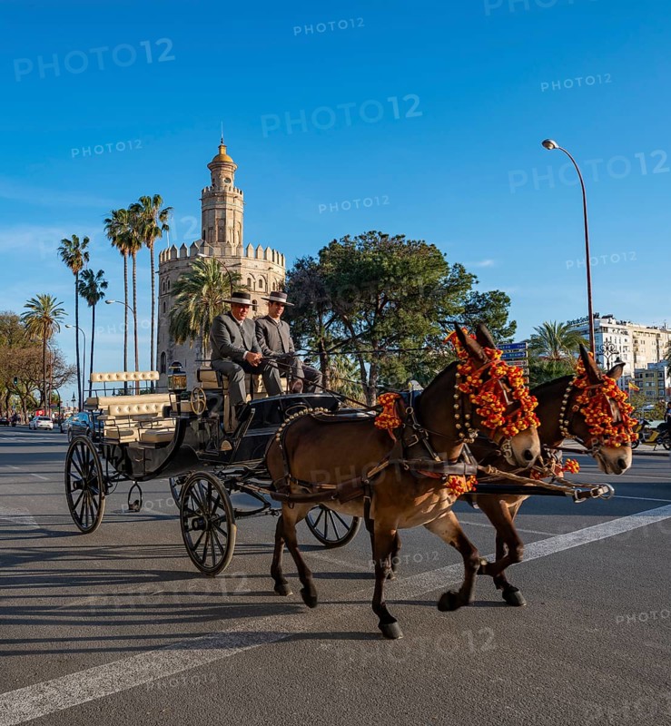 Decorated carriage on the Paseo Cristobal Colon