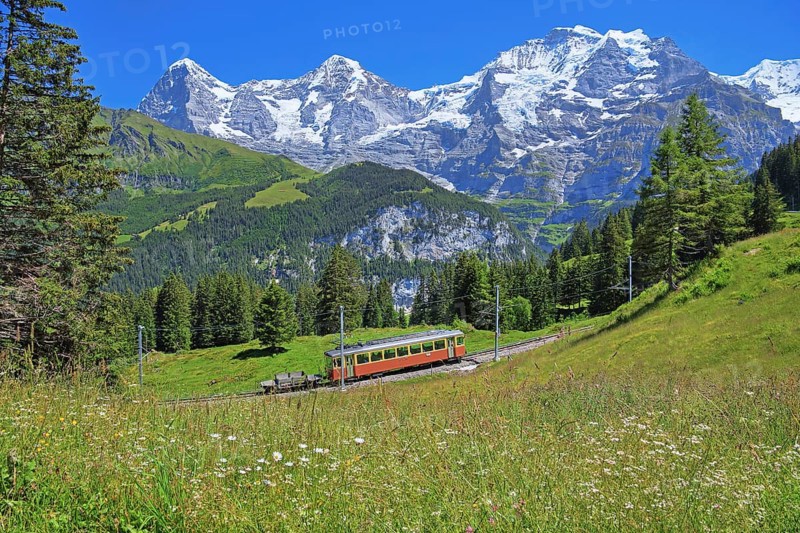 Mountain meadow and Muerren railway with the triumvirate of the Eiger
