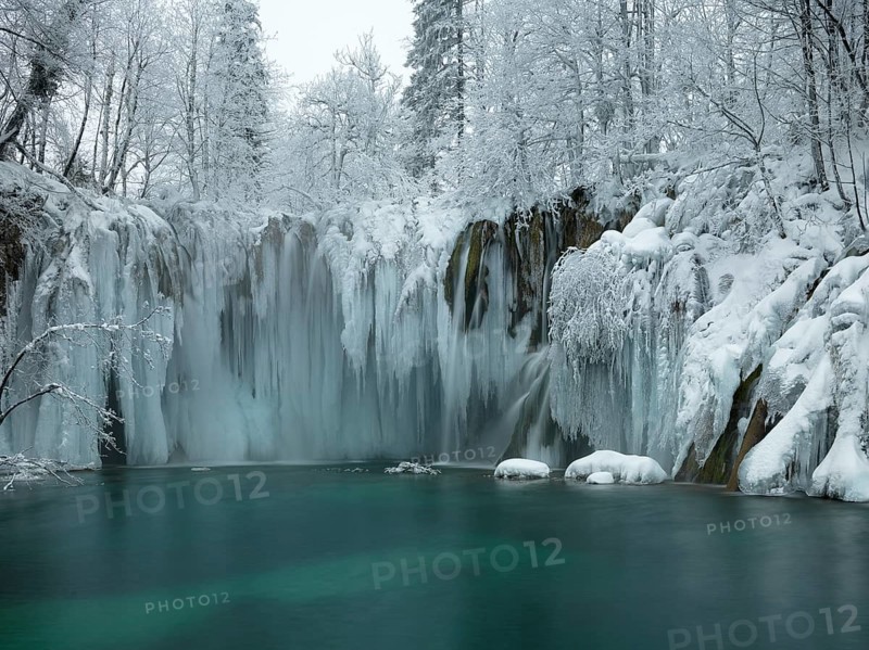 Winter landscape