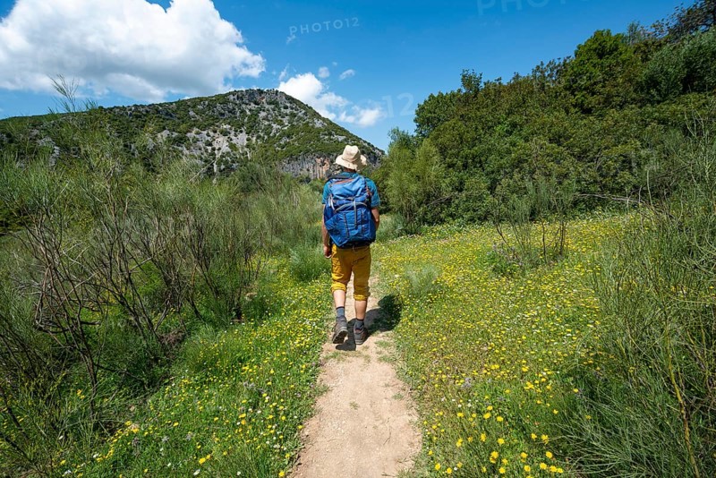 Hiker on a hiking trail