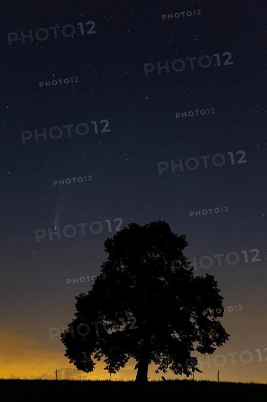 Comet C/2020 F3