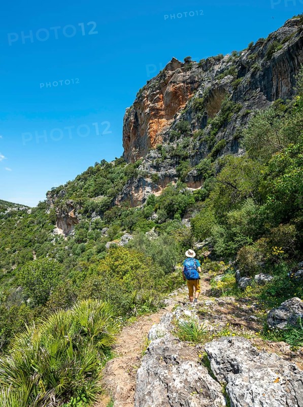 Hiker on a hiking trail