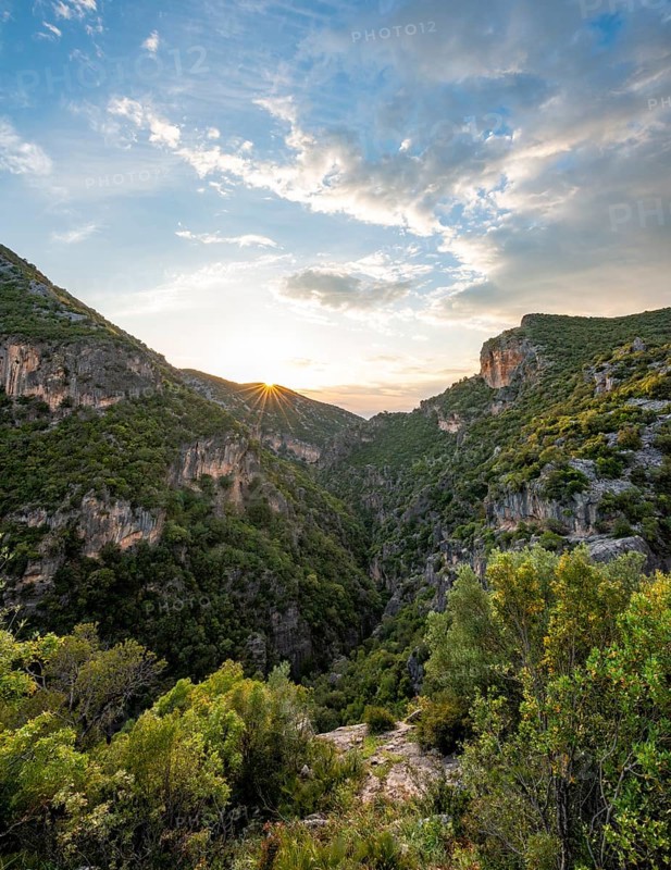 Forested slopes
