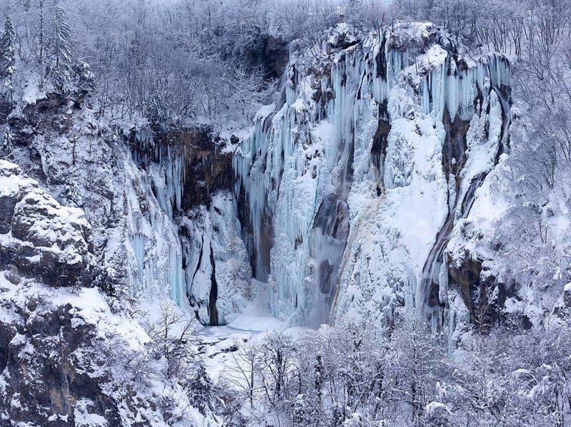 Winter landscape