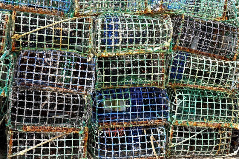 Basket fish traps for crab and lobster fishing in the Atlantic Ocean