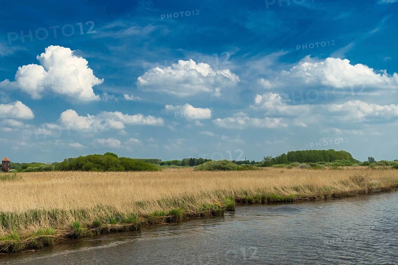 River Leda