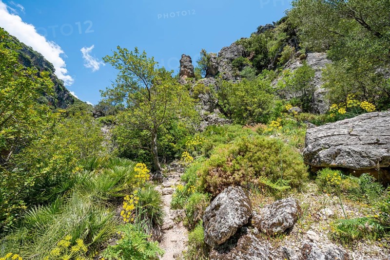 Footpath