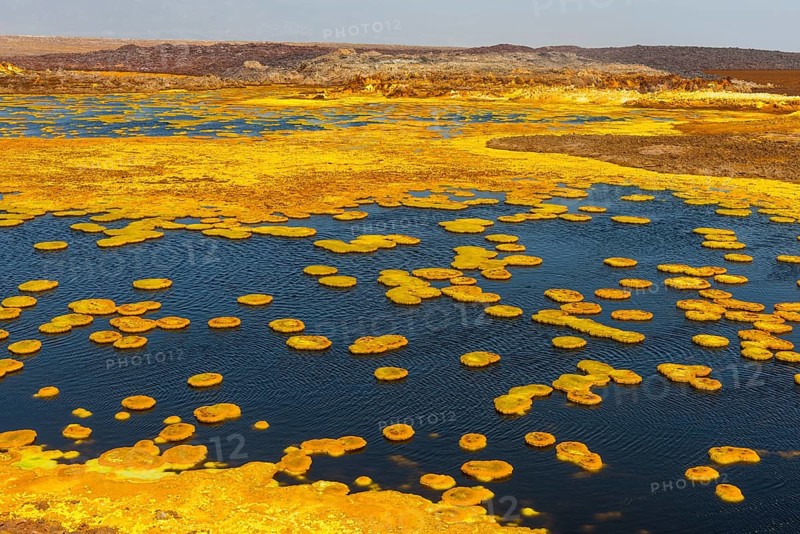 Geothermal area with sulphur deposits and acidic brines