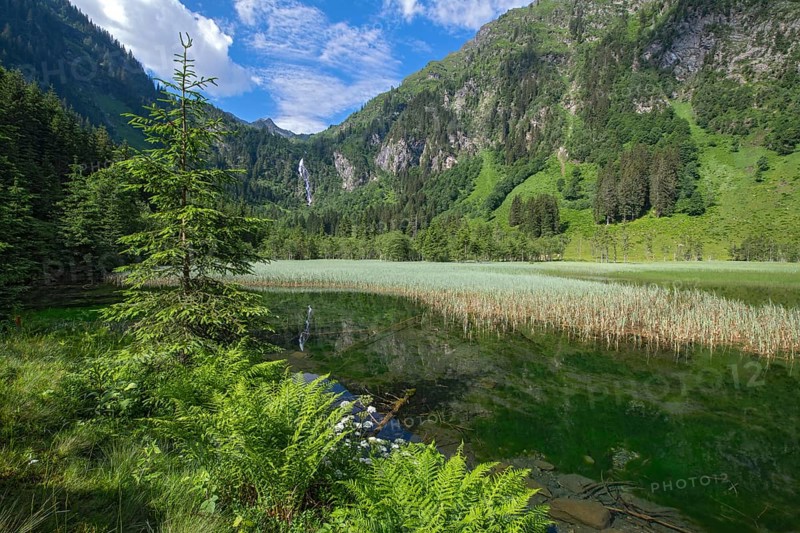 Styrian Lake Constance in summer