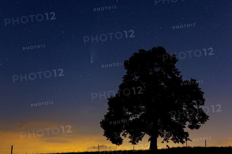 Comet C/2020 F3