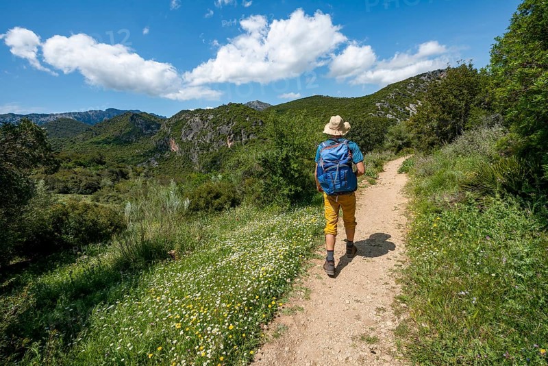 Hiker on a hiking trail