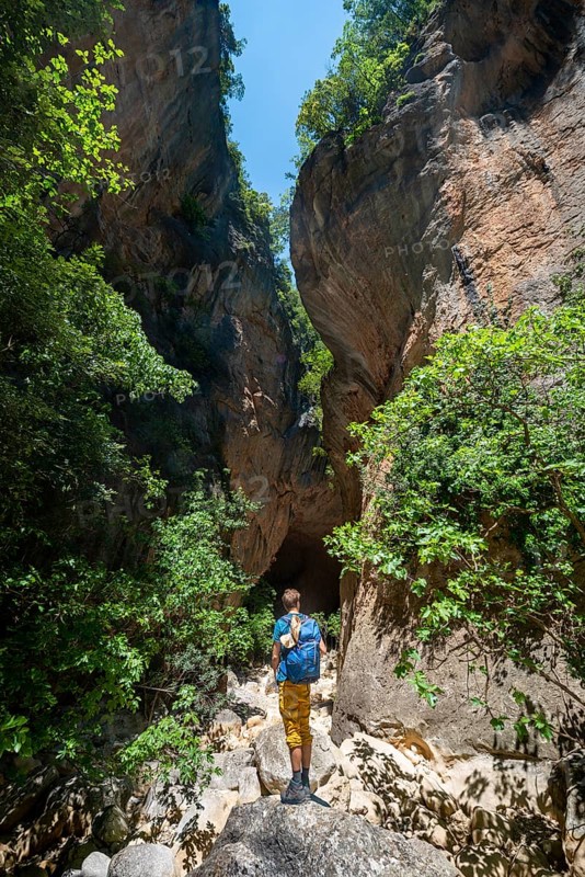 Hikers in the canyon with green trees