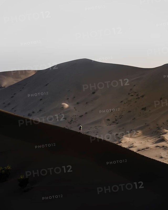 A lonely desert wanderer in the Gobi Desert