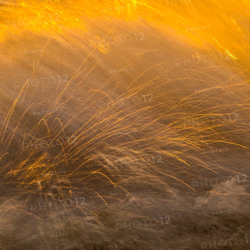 Spray