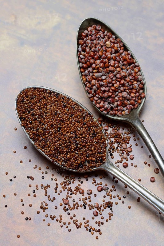 Quinoa