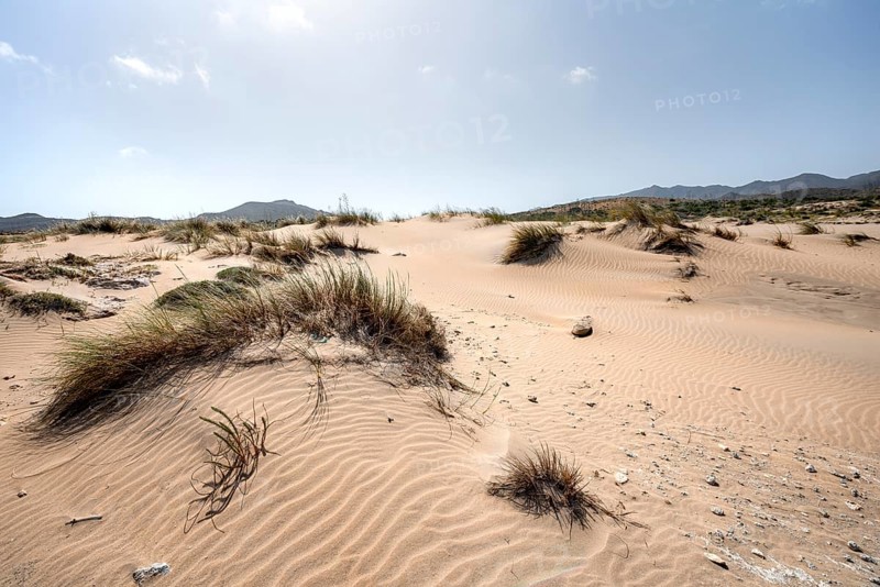Sand dunes on the beach