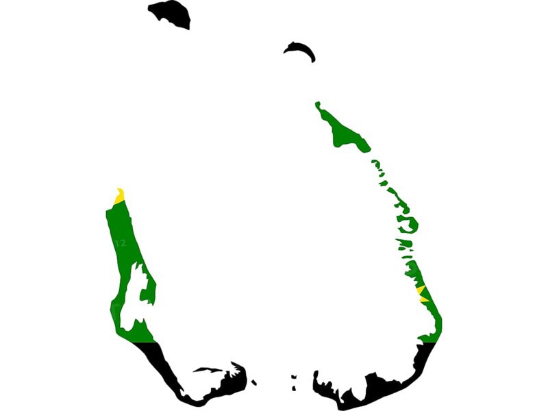 Flag in form form of the geographical country